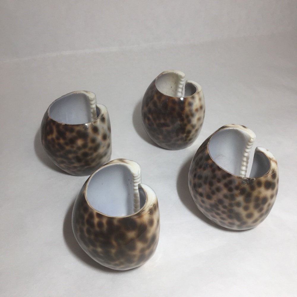 4 Shell Napkin Rings - Picture 4 of 5